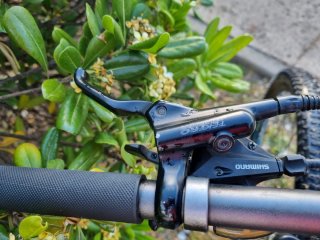 Bicicleta Montaña 29