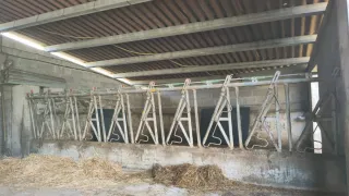 Cornadizas para vacas.  *Ultimo precio*