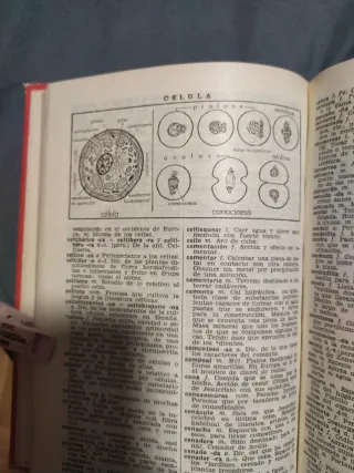 Diccionario Manual Ilustrado De LA Lengua Espan...