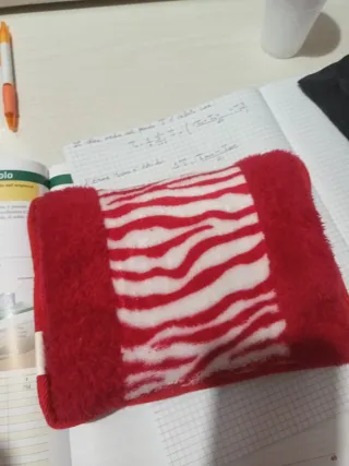 Borsa acqua calda elettrica