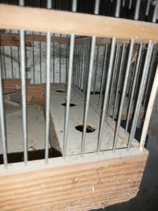 Jaula para pájaros de madera y metal