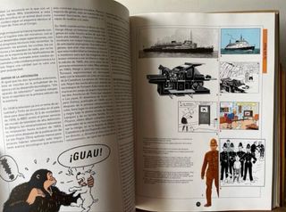 LIBRO TINTIN - EL SUENO Y LA REALIDAD