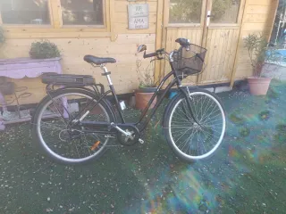 Bici Eléctrica Decathlon D'TWIN