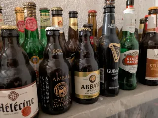 Colección Botellas Cerveza Vacías