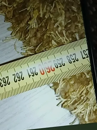 Alfombra beige y gris