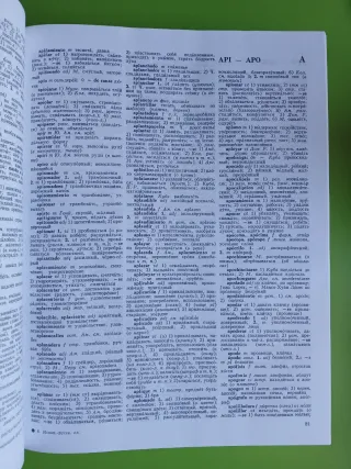 Diccionario Espanol-Ruso/ Spanish-Russian Dicti...