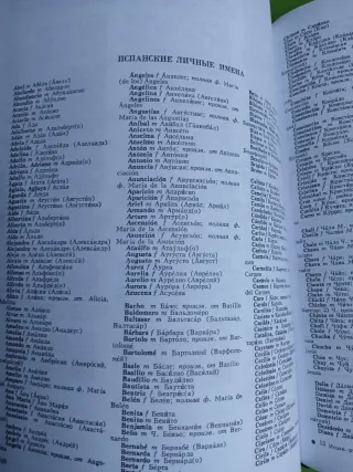 Diccionario Espanol-Ruso/ Spanish-Russian Dicti...