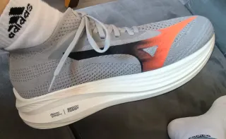 Mizuno Neo Zen Talla 43 (43.5/44)