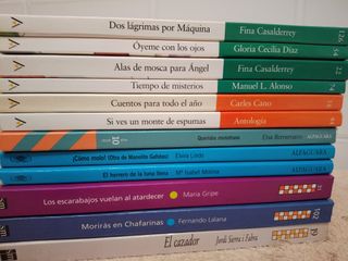 LOTE DE 12 LIBROS LITERATURA JUVENIL