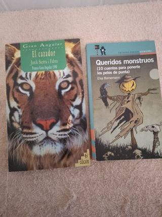 LOTE DE 12 LIBROS LITERATURA JUVENIL