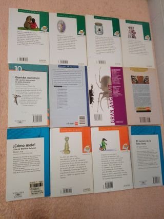 LOTE DE 12 LIBROS LITERATURA JUVENIL