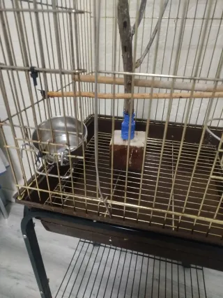 Jaula grande para pájaros