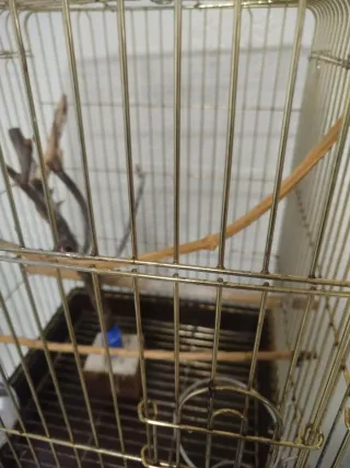 Jaula grande para pájaros