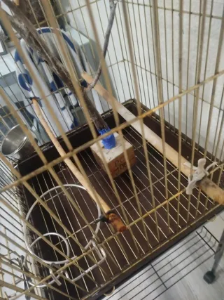 Jaula grande para pájaros