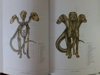 The Resurrectionist: The Lost Work of Dr. Spenc...