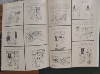 Nº1 del MICO COÑON , tema Sexy y Picante