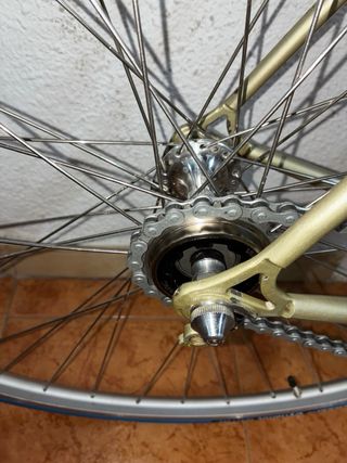 Bicicleta Clásica Benotto Single Speed