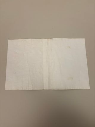 SEPARATION ANXIETY VENOM SPIDERMAN SEGA MEGA DRIVE