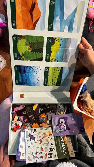 Juego educativo animales magnético MierEdu