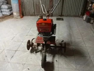 Motoazada Benassi Roja