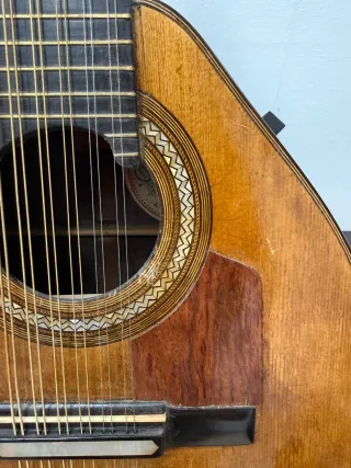 Bandurria Telesforo Julve