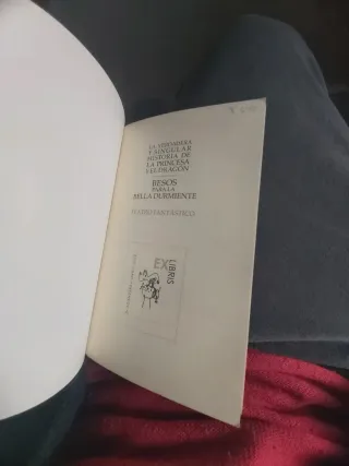 La verdadera y singular historia de la Princesa...