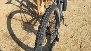 Bicicleta carbono BTT Specialized