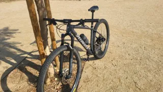 Bicicleta carbono BTT Specialized