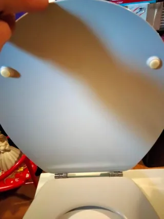 Tapa y asiento WC inodoro color gris. LEER medidas