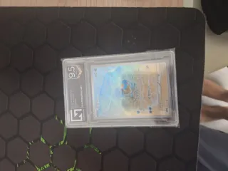 Squirtle 9.5 Coreano Carta Pokémon