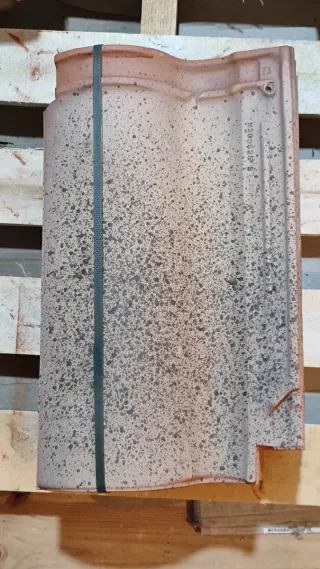 Teja Mixta Hispania Escandella