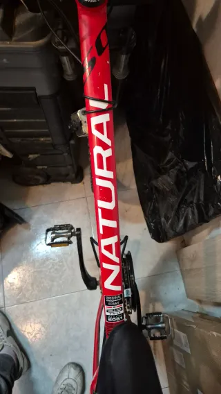 Bicicleta Megamo Roja