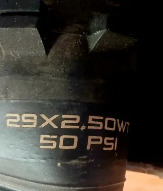 Cubierta Maxxis Minion DHF 29x2.50 TR WT