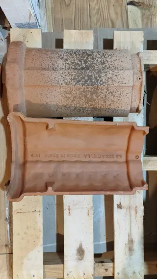 Teja Cumbrera Escandella