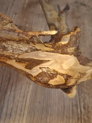 Lámpara artesanal de madera de raíz