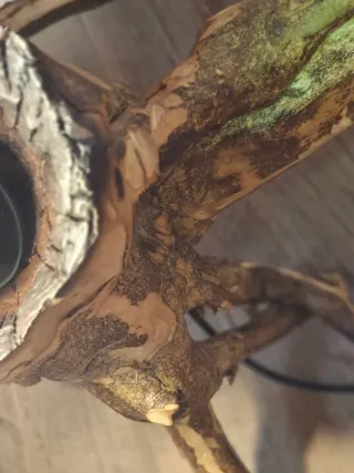 Lámpara artesanal de madera de raíz