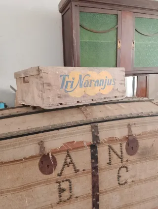 Baúles y arcas antiguos de madera y metal