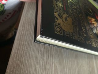 Nuestra Señora de París (Álbumes (Jóvenes y niñ...