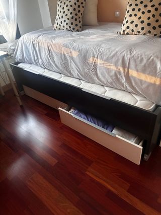 Cama nido juvenil diseño moderno.