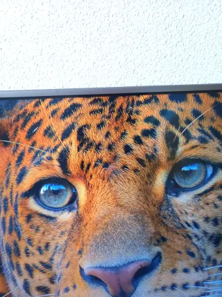 TV Hisense 55 4K Curva