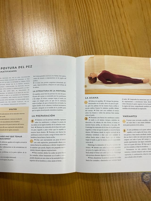 El Gran Libro Del Yoga