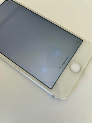 iPhone 7 32GB Argento