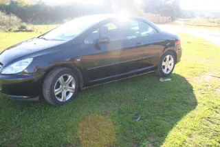 Peugeot 307 2005