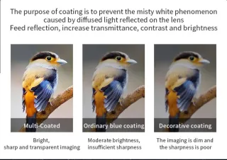 Prismáticos SUNCORE 12x50 Prismas BAK4 IPX6