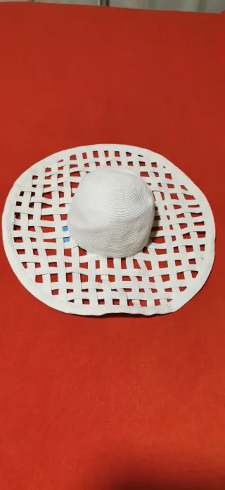 Pamela blanca de ala ancha