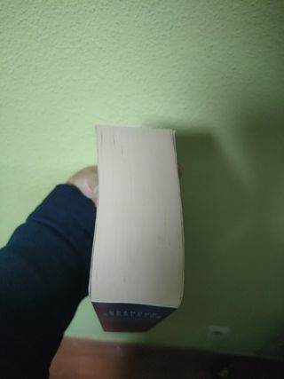 El camino de los reyes (El Archivo de las Torme...