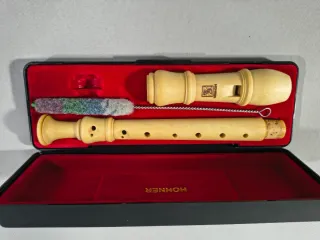 Flauta dulce Hohner con estuche y cepillo