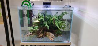 Acuario 20L completo