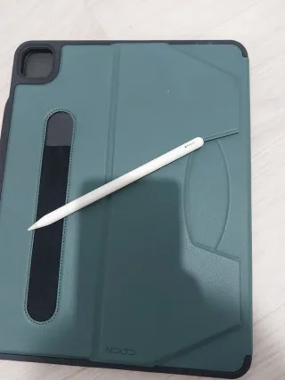 Custodia ZUGU CASE per iPad Pro