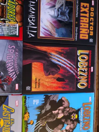 Novelas Gráficas Marvel, tomos variados. 10 tomos.